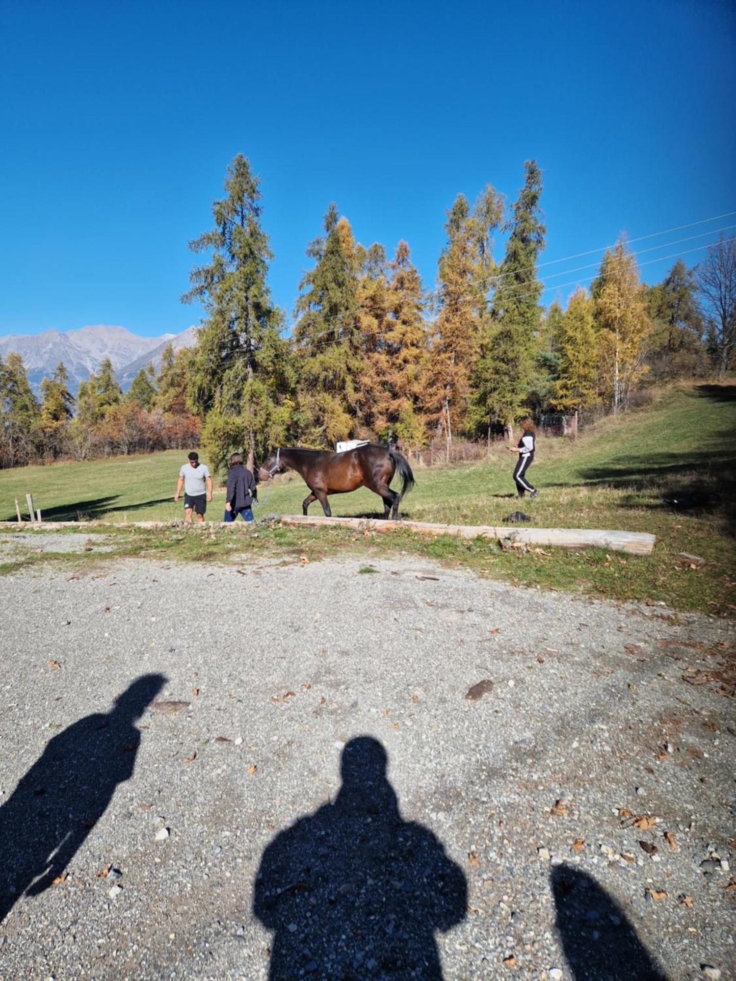Gite De La Draye Crots Esterno foto